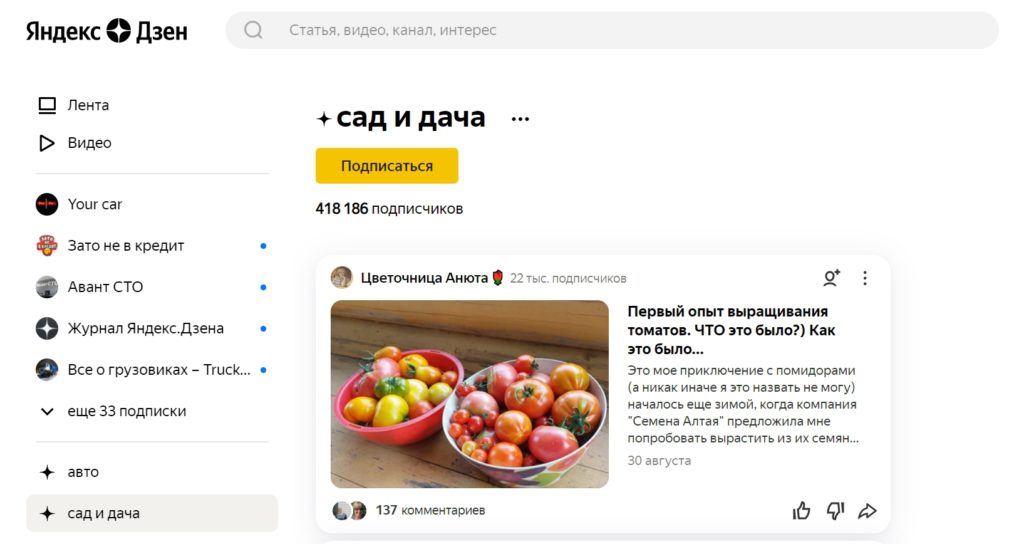 Подписываемся на интерес в Яндекс Дзен - обогащаем ленту!